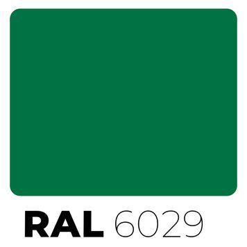 Краска в баллончике RAL 6029 Mint Green 12868 фото