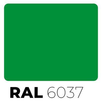 Краска в баллончике RAL 6037 Pure Green 12956 фото