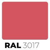 Краска в баллончике RAL 3017 Rose 12810 фото